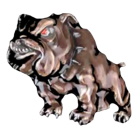 Grtelschnalle Bulldogge