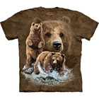 T-Shirt Finde 10 Braunbären
