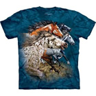 T-Shirt Finde 13 Pferde