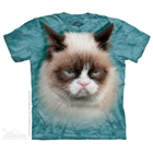 Kinder-T-Shirt Grimmige Katze