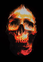 T - Shirt Flaming Skull