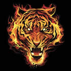 T-Shirt Feuertiger