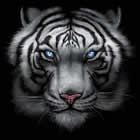 T-Shirt White Tiger